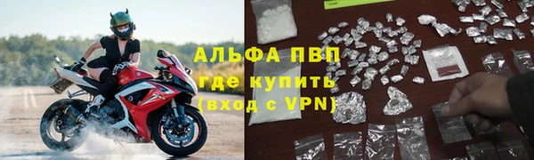 стаф Богородск