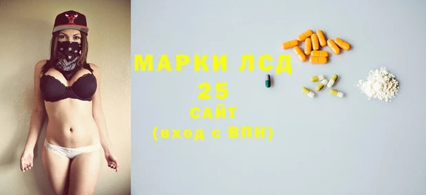 индика Сатка