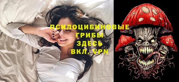соль курить ск Богородицк