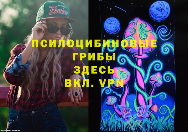 стаф Богородск