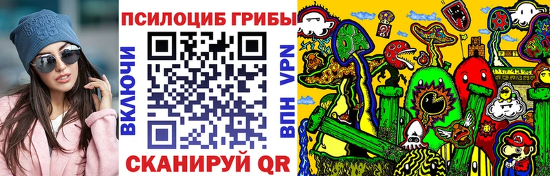 ОМГ ОМГ ТОР  Болотное  Псилоцибиновые грибы Psilocybe 